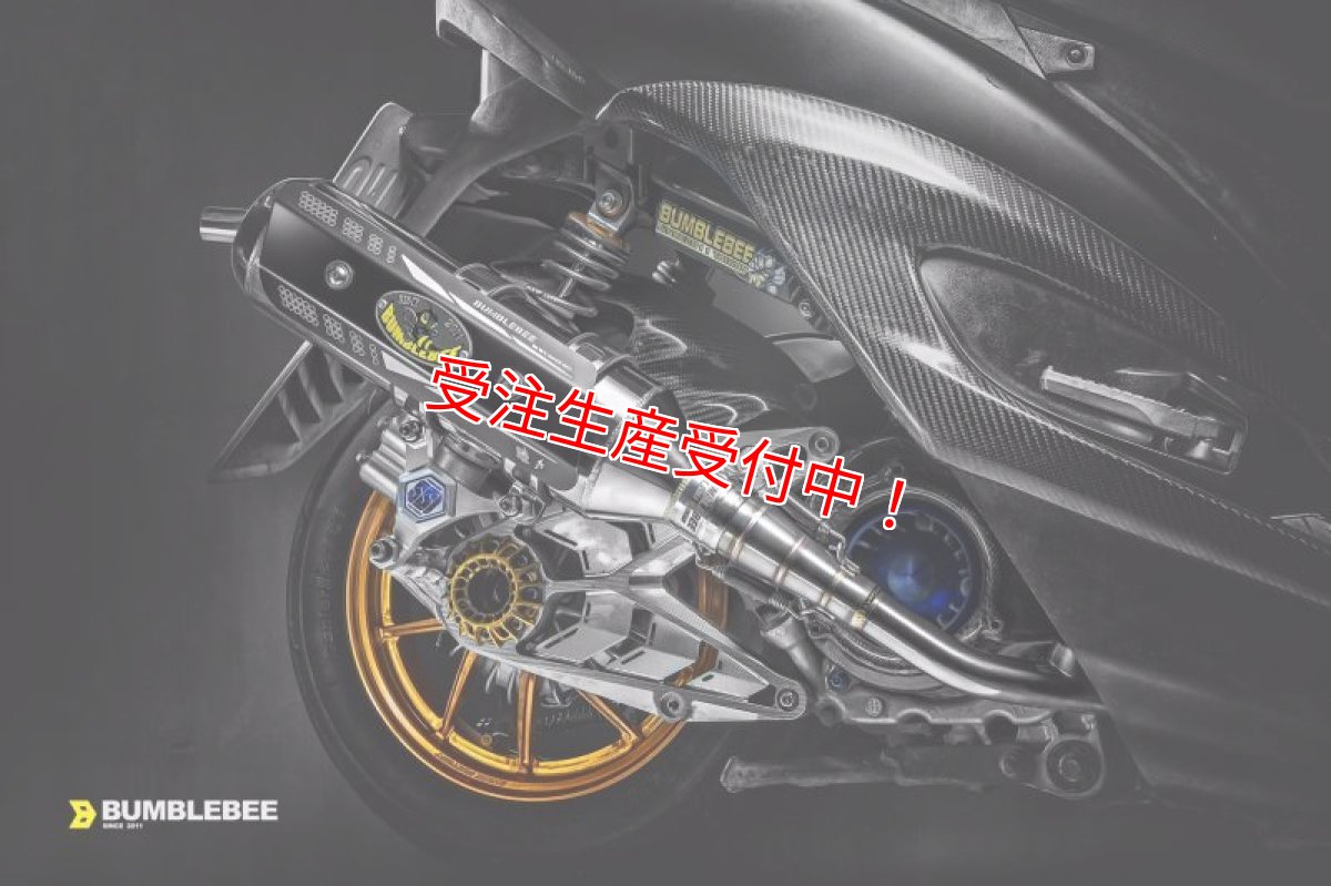 画像8: Bumblebee SS1 [シグナスX・BW'S125][158ccオーバー用] (8)