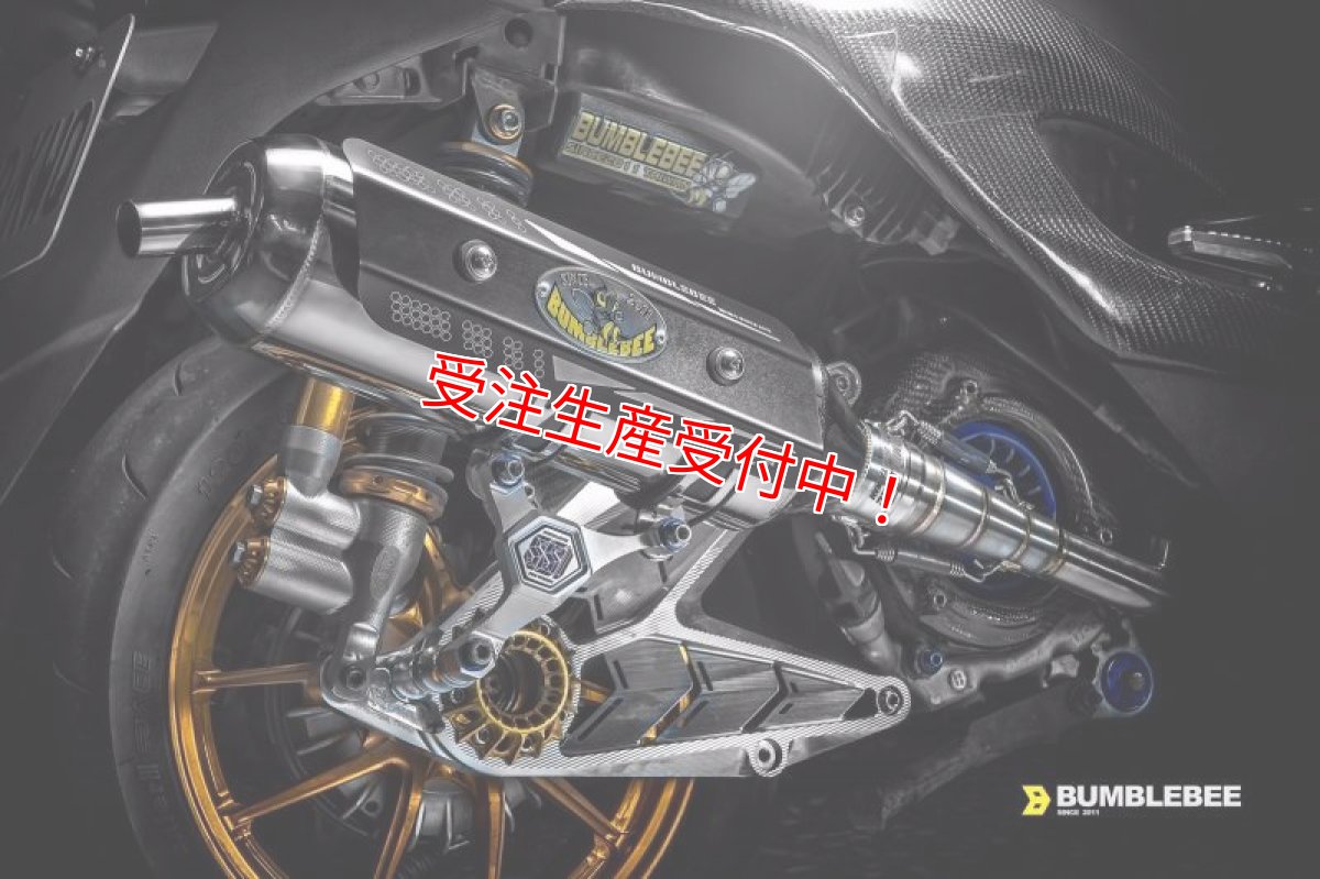 画像10: Bumblebee SS1 [シグナスX・BW'S125][158ccオーバー用] (10)