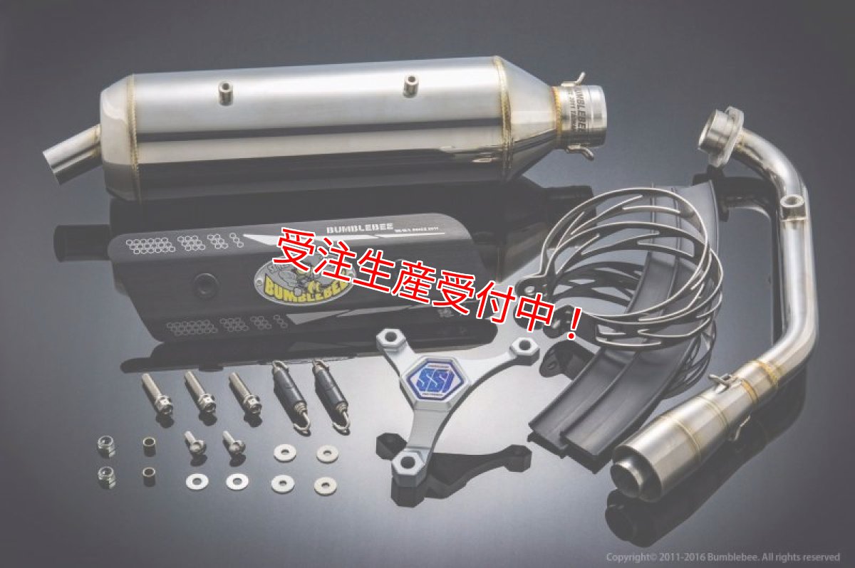 画像12: Bumblebee SS1 [シグナスX・BW'S125][158ccオーバー用] (12)