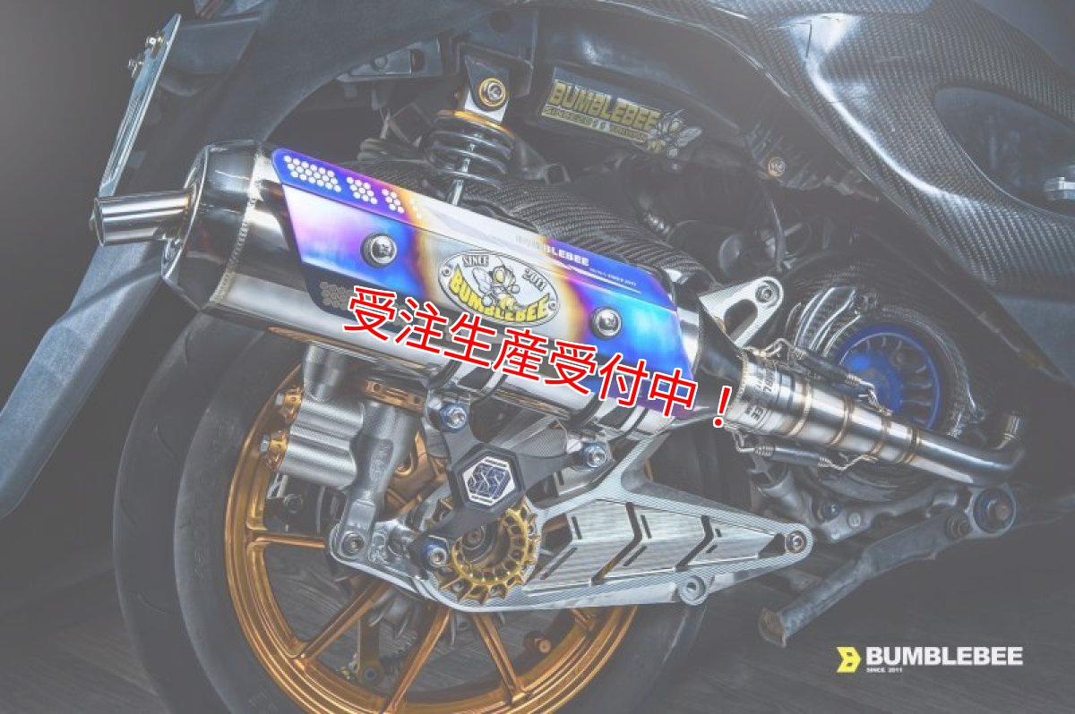 画像7: Bumblebee SS1 [シグナスX・BW'S125][158ccオーバー用] (7)