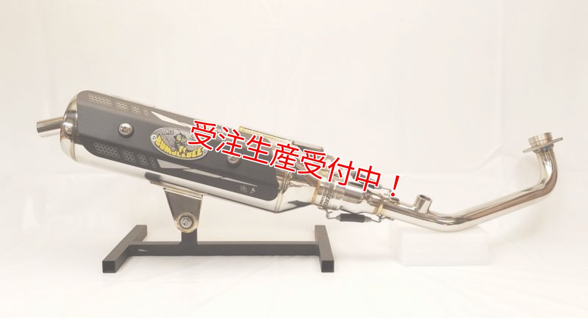 画像2: Bumblebee BS2シリーズ [シグナスX・BW’S125][180ccオーバー競技用サイズ] (2)