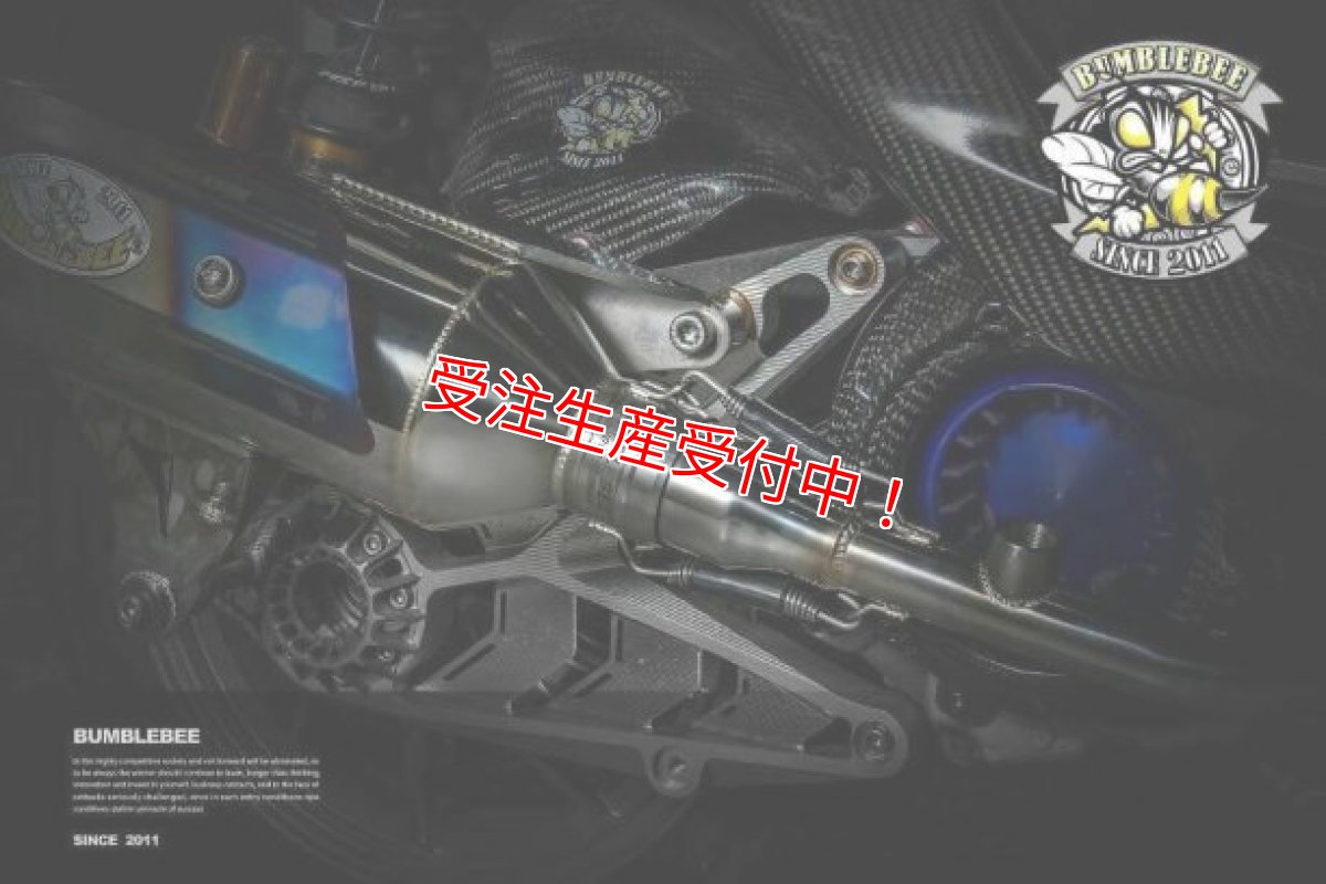 画像11: Bumblebee BS2シリーズ [シグナスX・BW’S125][180ccオーバー競技用サイズ] (11)