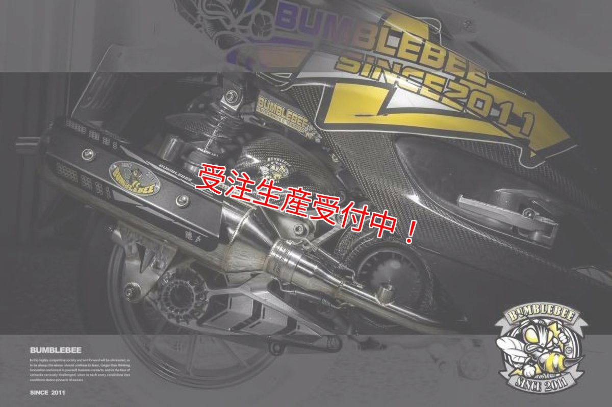 画像8: Bumblebee BS2シリーズ [シグナスX・BW’S125][180ccオーバー競技用サイズ] (8)