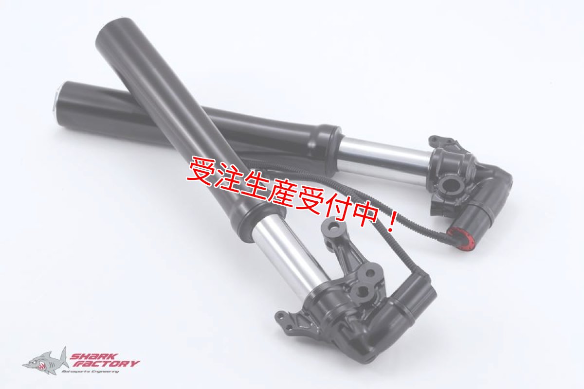 画像2: SHARK FACTORY 【L35E】電子制御倒立フロントフォーク [シグナスX・BW'S125] (2)