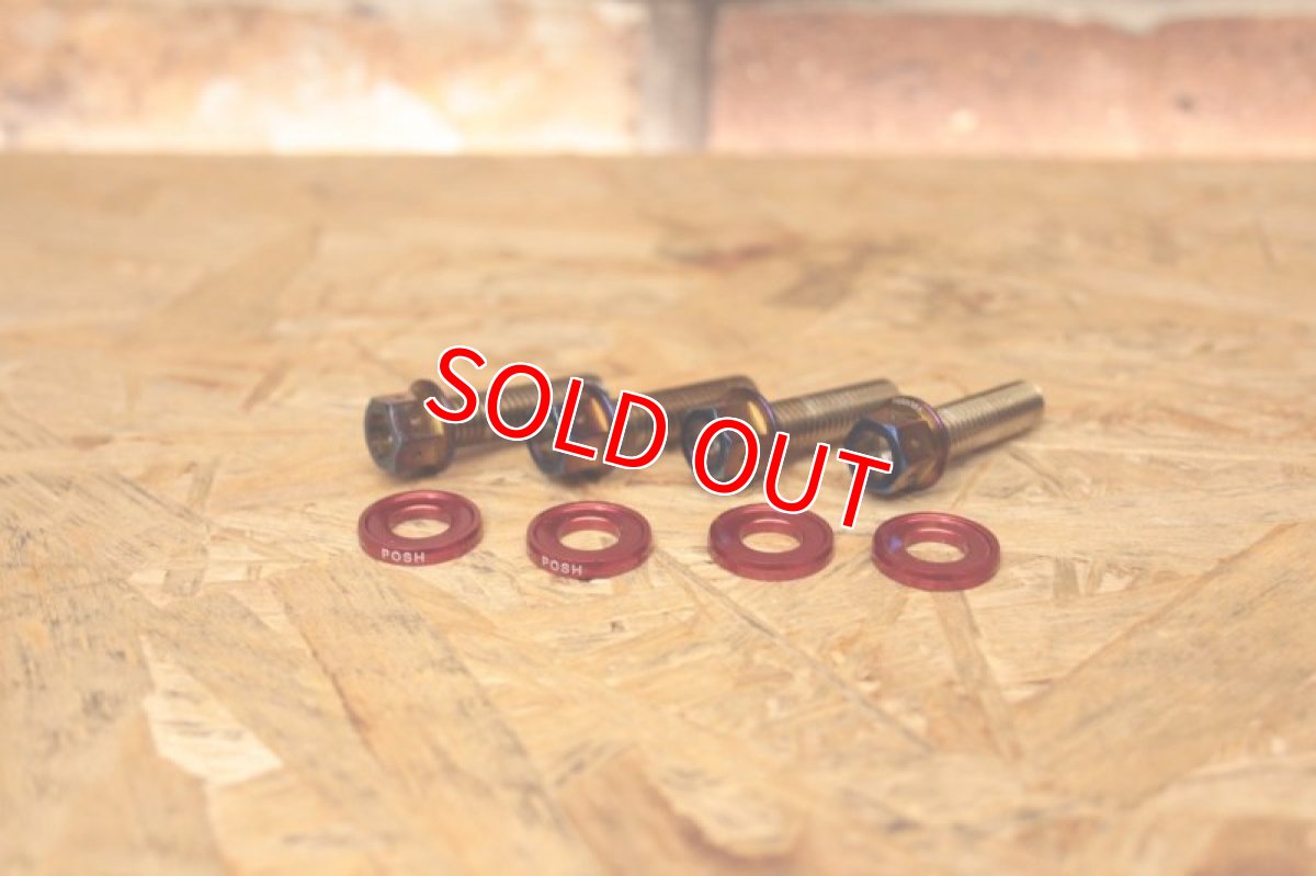 画像5: Leopard チタンサイドグラブバー [2・3型シグナスX/4・5型シグナスX] (5)