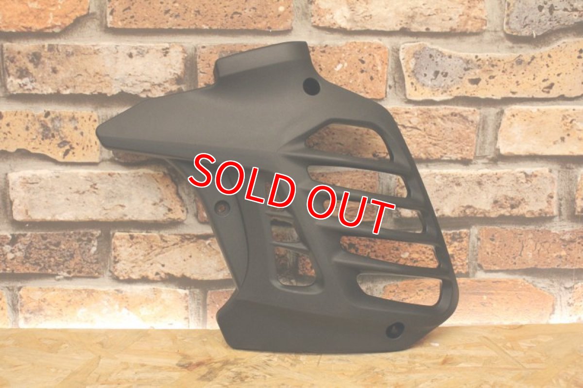 画像2: Light master ラジエーターカバー [マジェスティS・SMAX] (2)