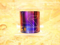 画像3: RPM GII LS フロントフォーク用チタンプレート 左右セット (3)