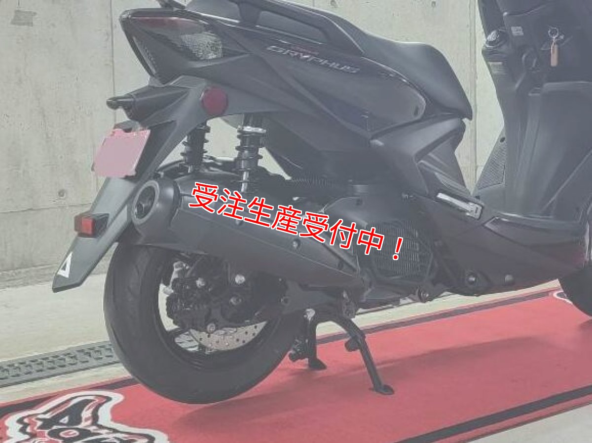 画像2: Bumblebee BC (125〜160cc/160cc以上/180cc以上競技用サイズ) [シグナスグリファス・3型BW'S125・2型NMAX125/155・X force・Force2.0] (2)