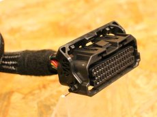 画像2: aRacer ECU延長ハーネス Y48（シグナスグリファス・2型NMAX・X FORCE・他） (2)