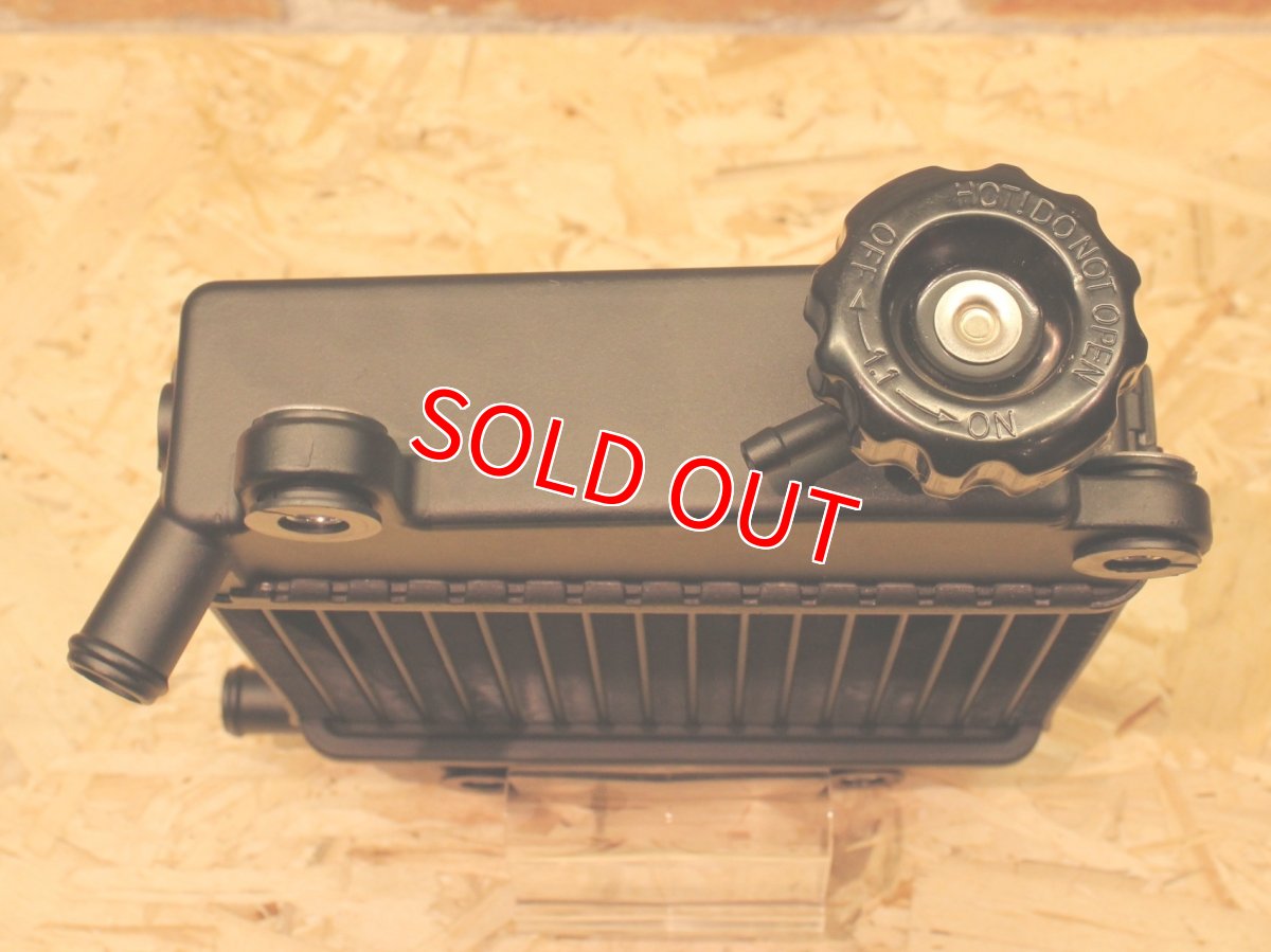 画像7: TRF ビッグラジエーター［シグナスグリファス/2型NMAX/X FORCE］ (7)