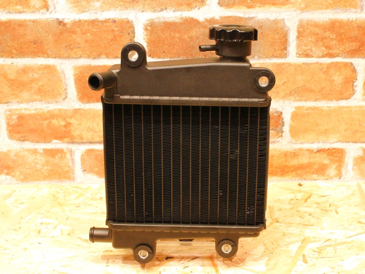 画像3: TRF ビッグラジエーター［シグナスグリファス/2型NMAX/X FORCE］ (3)