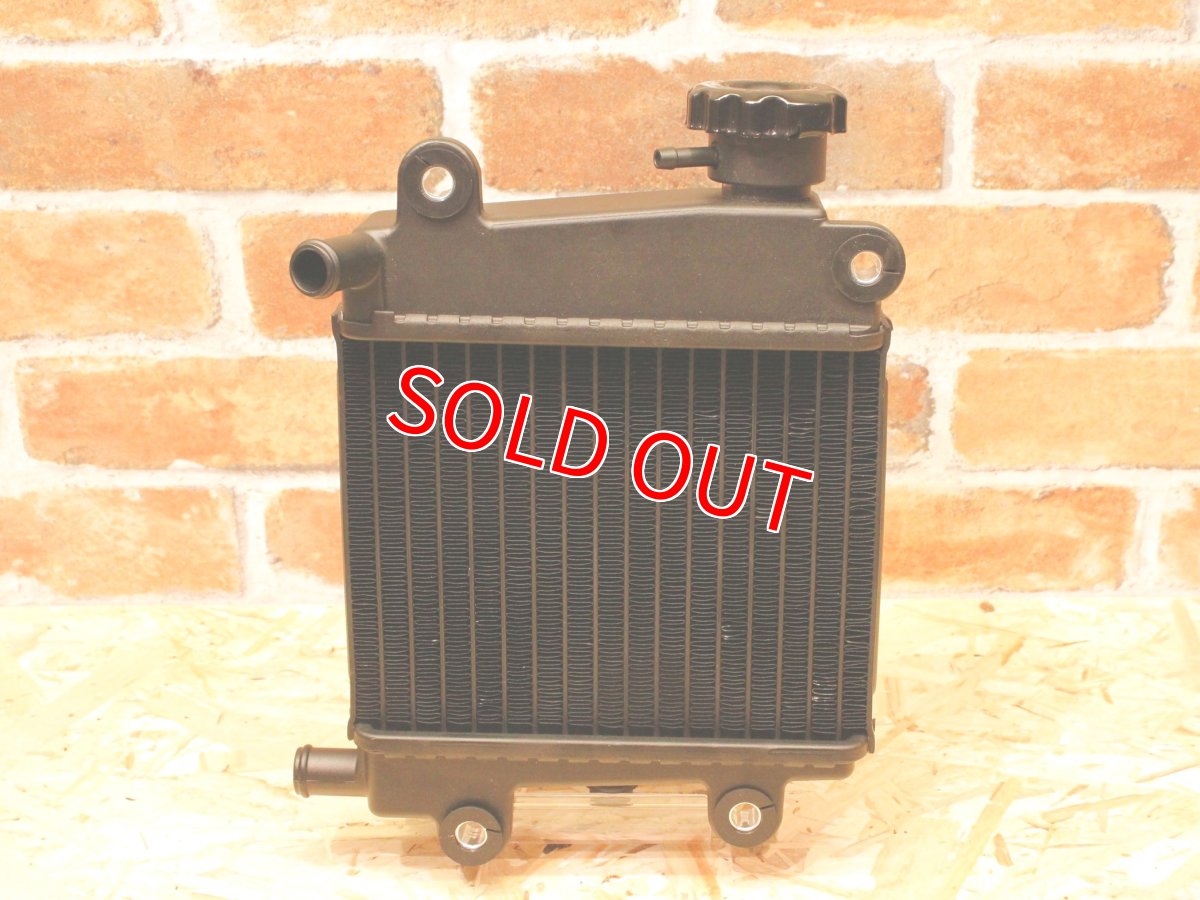 画像3: TRF ビッグラジエーター［シグナスグリファス/2型NMAX/X FORCE］ (3)