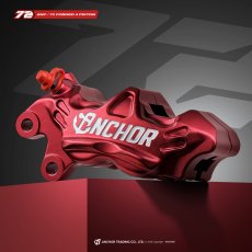 画像8: ANCHOR ANC72 40mmピッチ4potキャリパー (8)