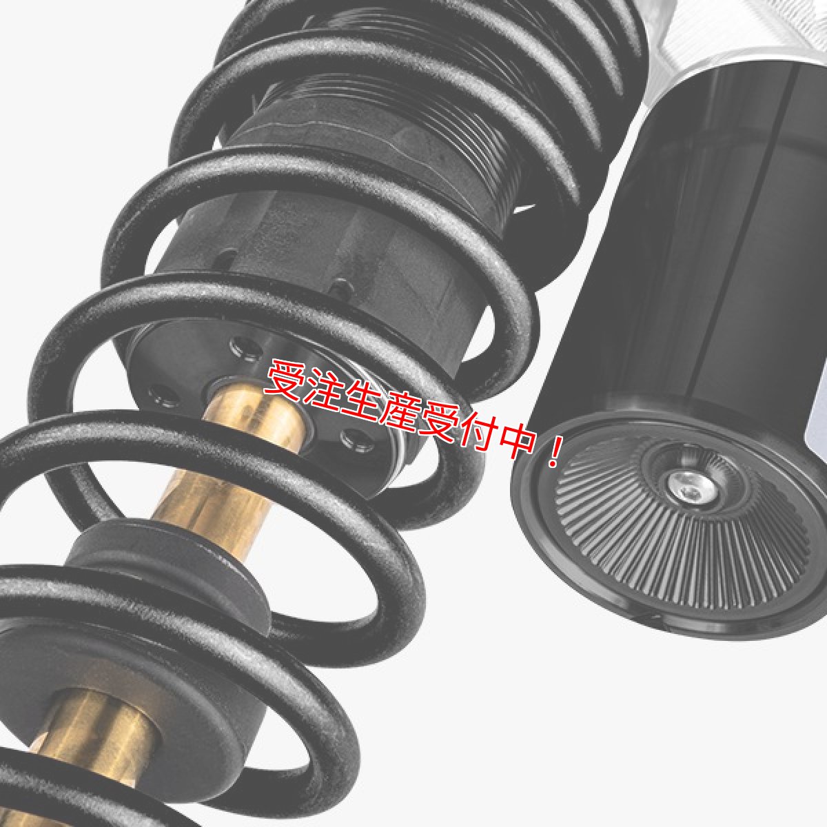 画像6: Savage Bull FR-Tリアサスペンション upper reservoir tank ver［シグナスX/BW'S125/グリファス/X FORCE/NMAX］ (6)