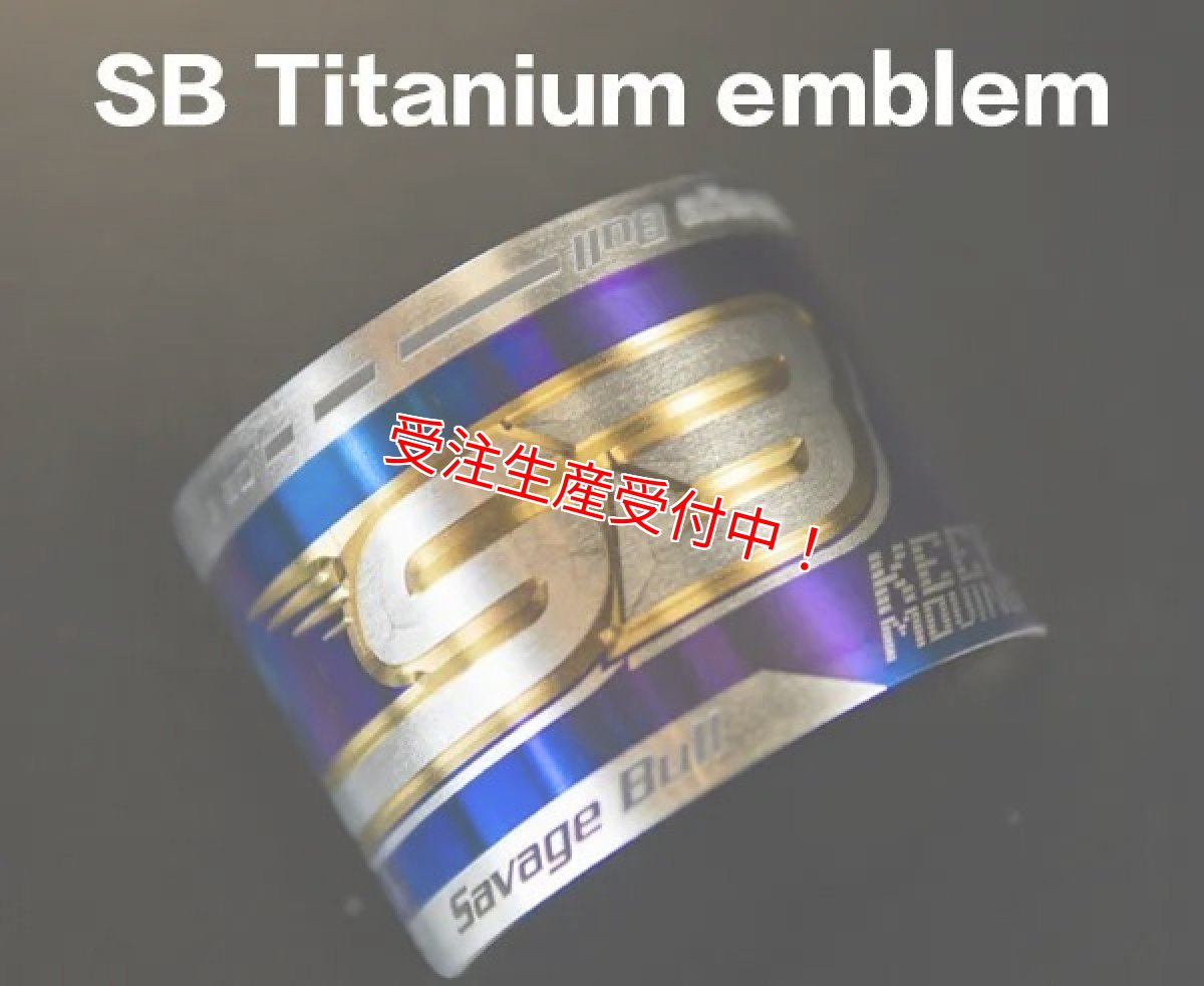 画像6: Savage Bull VRリアサスペンション lower reservoir tank ver［グリファス/X FORCE/NMAX］ (6)