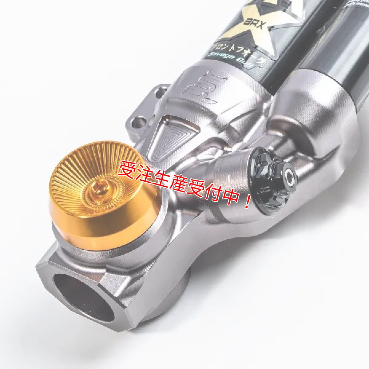 画像3: Savage Bull ARX-PRO フルアジャスタブルフロントフォーク［シグナスX/BW'S125］ (3)