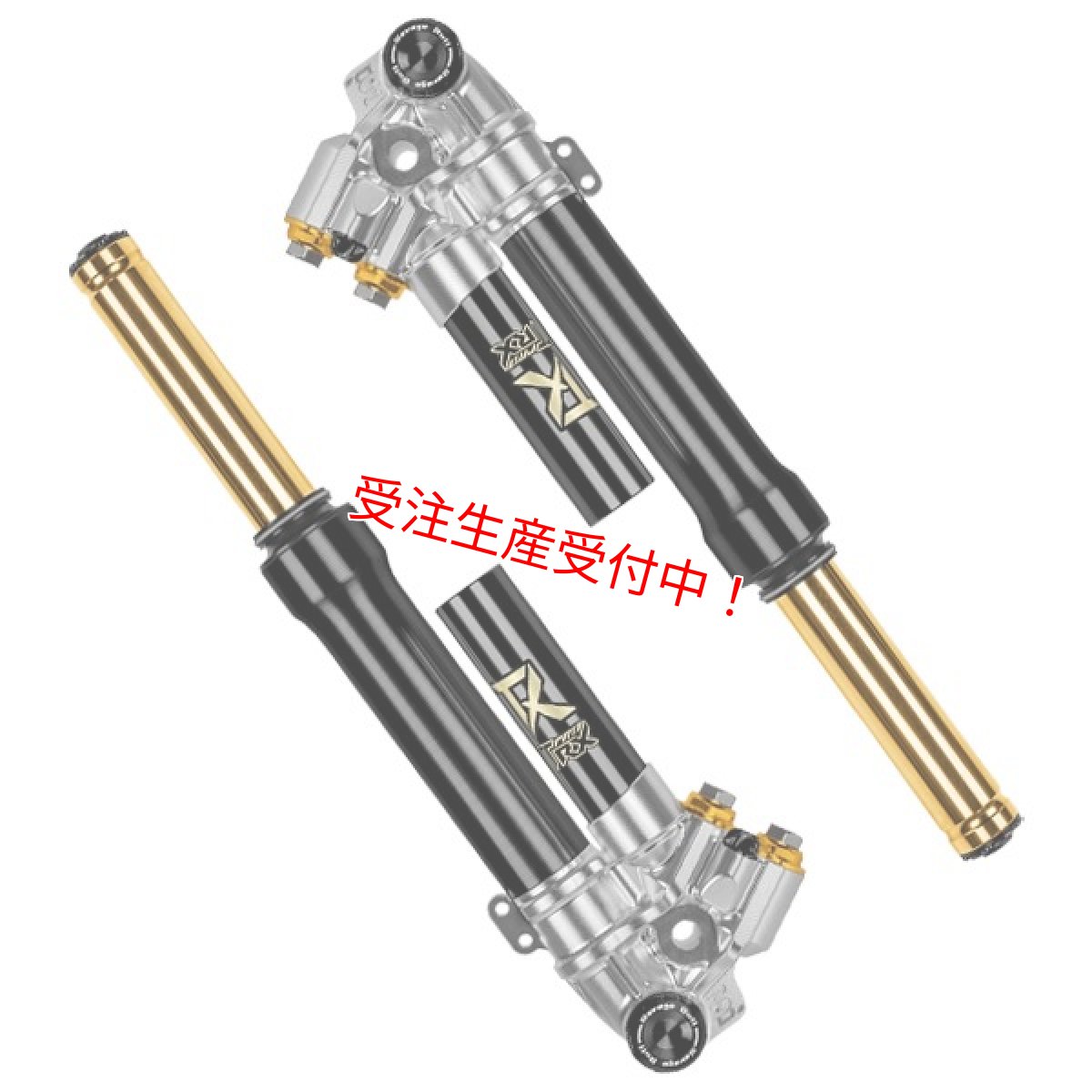 画像1: Savage Bull TRX-PRO 4wayフルアジャスタブルフロントフォーク［グリファス/X FORCE/マジェスティS］ (1)