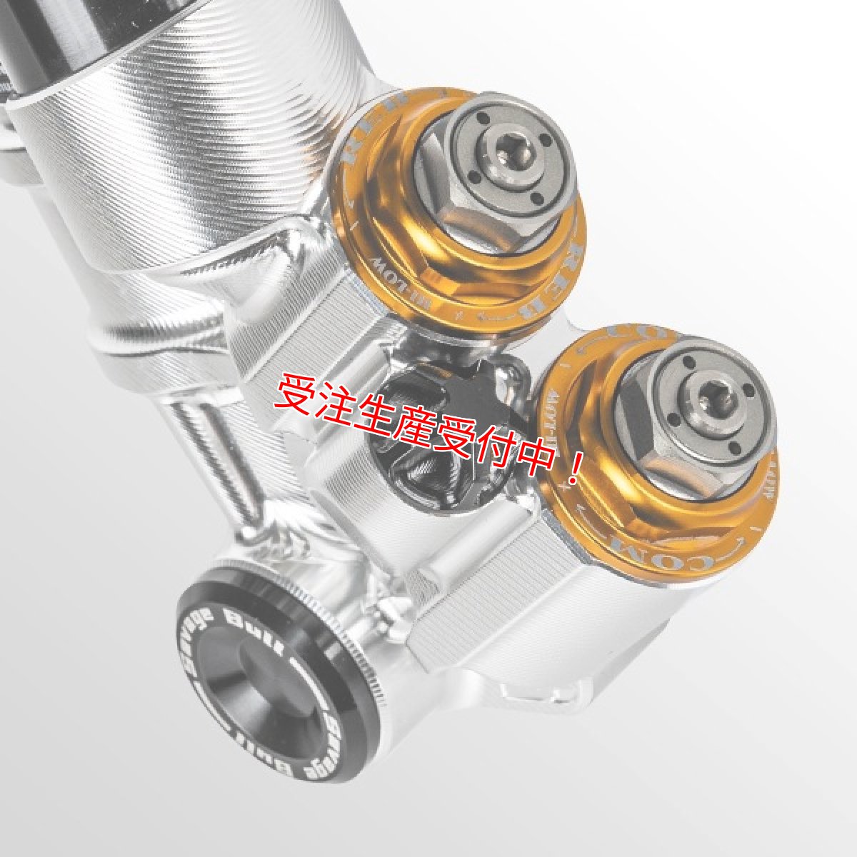 画像4: Savage Bull TRX-PRO 4wayフルアジャスタブルフロントフォーク［グリファス/X FORCE/マジェスティS］ (4)