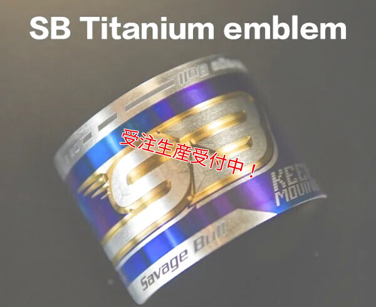 画像6: Savage Bull VR-Tリアサスペンション upper reservoir tank ver［シグナスX/BW'S125/グリファス/X FORCE/NMAX］ (6)