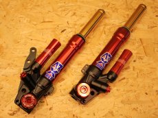 画像1: Savage Bull ARX-CLASSIC フロントフォーク［シグナスX/BW'S125］ (1)