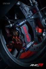 画像8: yutakaチャンネル カ〇アゲ企画 12％off！ANCHOR ANC9 100mmピッチ4potラジアルキャリパー (8)