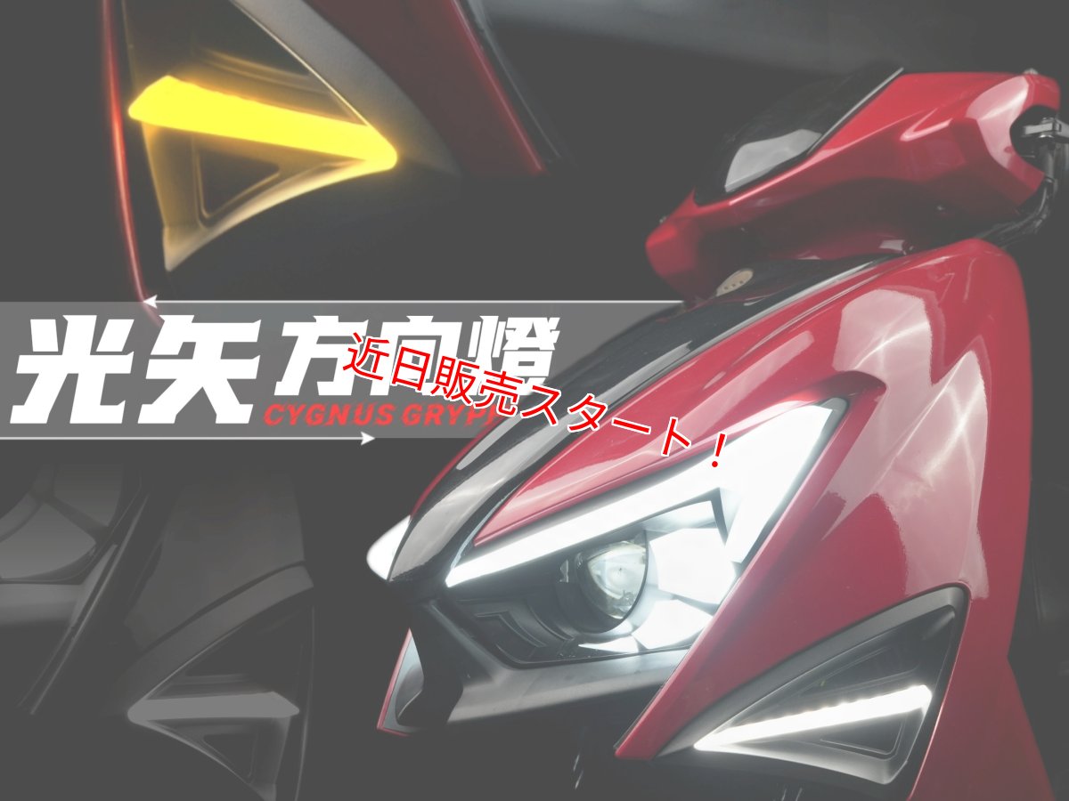 画像2: APEXX ベクターウインカー [シグナスグリファス] (2)