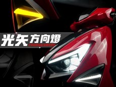 画像2: APEXX ベクターウインカー [シグナスグリファス] (2)