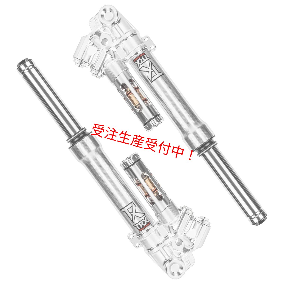 画像1: Savage Bull TRX-CLASSIC フロントフォーク［グリファス/X FORCE/マジェスティS］ (1)