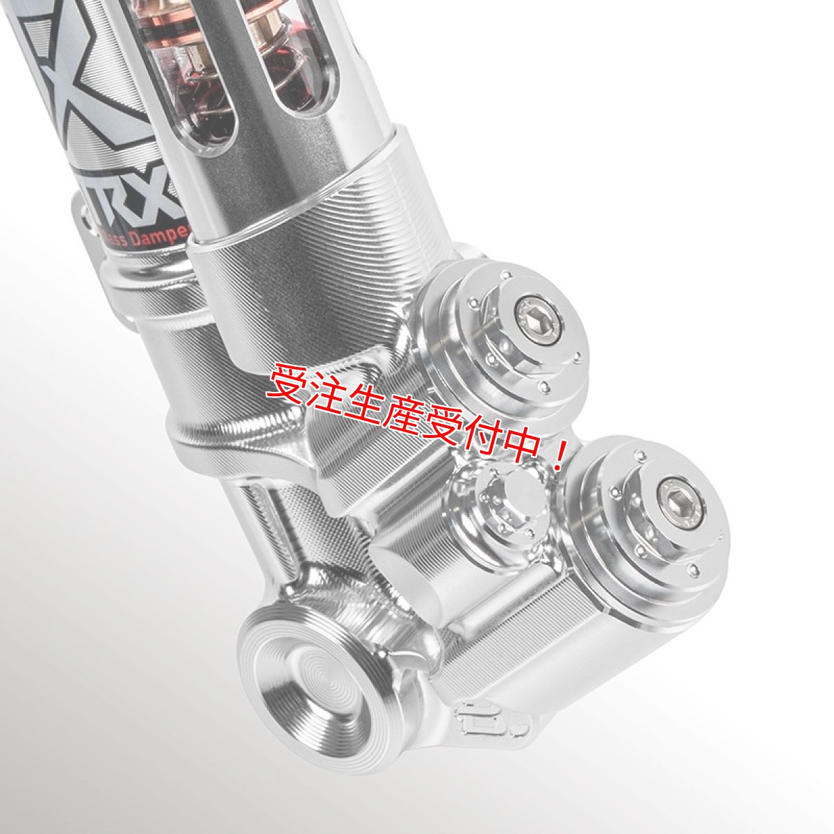 画像2: Savage Bull TRX-CLASSIC フロントフォーク［グリファス/X FORCE/マジェスティS］ (2)