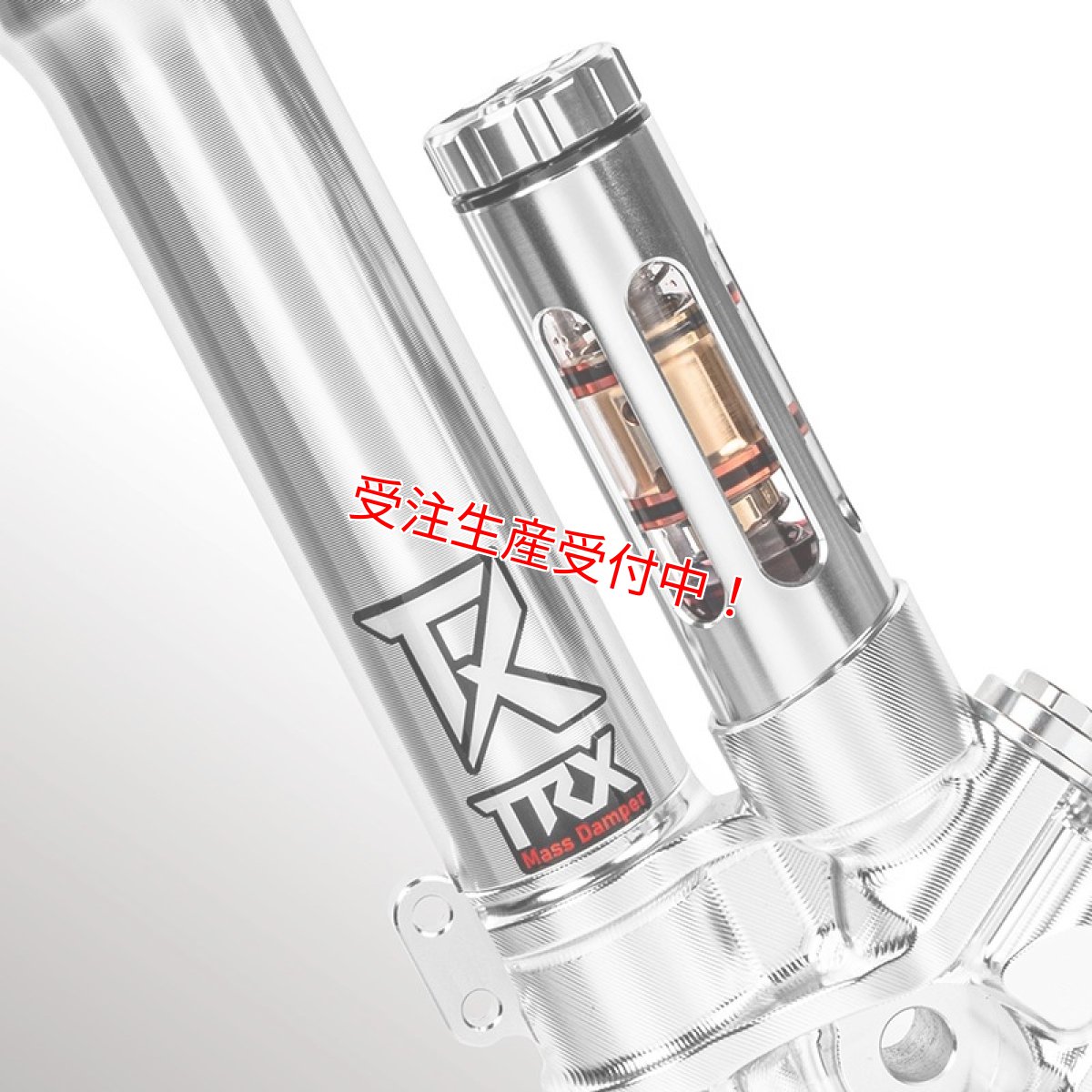 画像3: Savage Bull TRX-CLASSIC フロントフォーク［グリファス/X FORCE/マジェスティS］ (3)