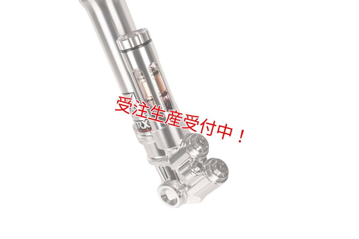 画像6: Savage Bull TRX-CLASSIC フロントフォーク［グリファス/X FORCE/マジェスティS］ (6)