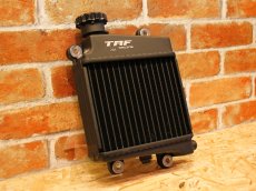 画像1: TRF ビッグラジエーター［シグナスグリファス/2型NMAX/X FORCE］ (1)