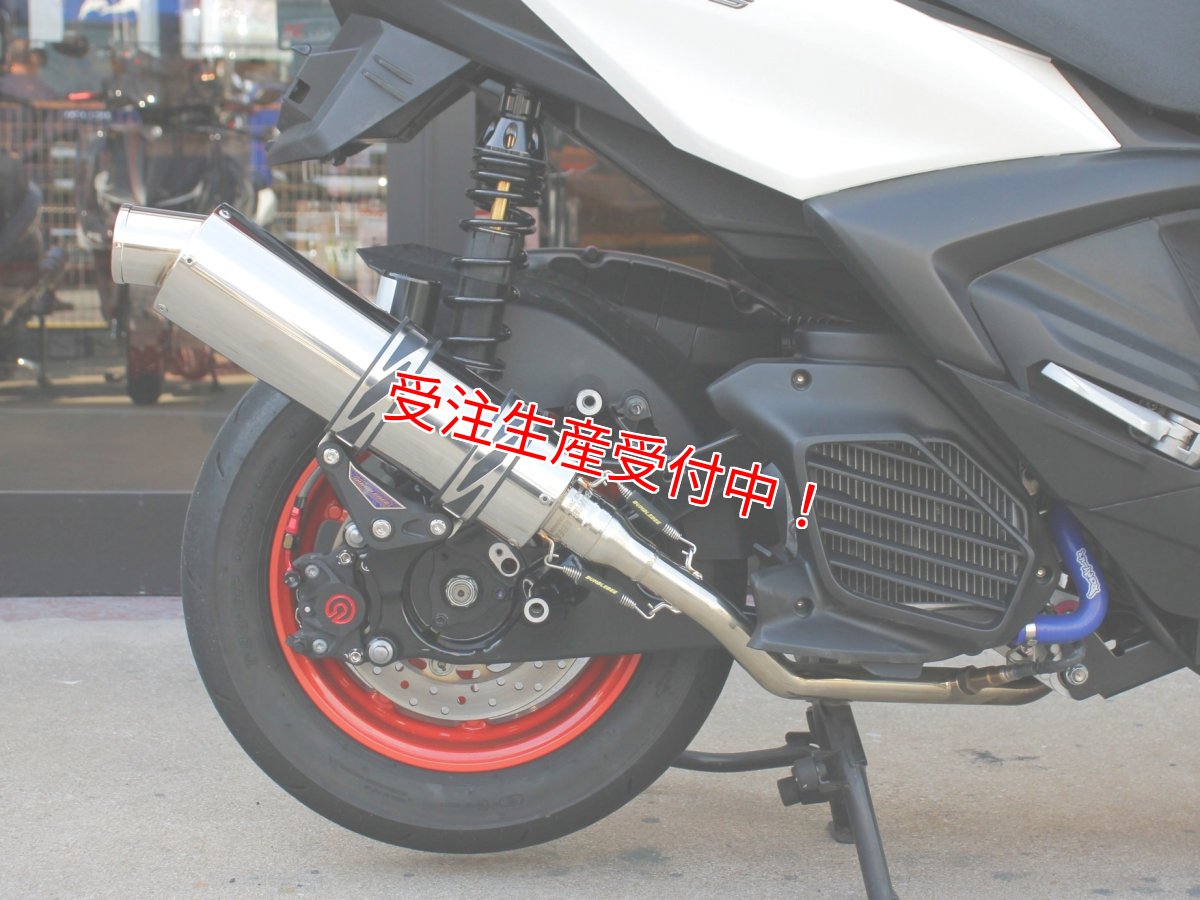 画像11: Bumblebee BT1ステンポリッシュ(125〜160cc/160cc以上/180cc以上/220cc以上) [7型シグナスX・シグナスグリファス・2型以降NMAX125・X FORCE] (11)