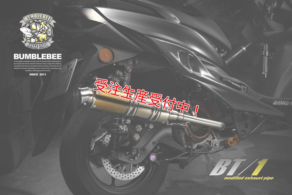 画像9: Bumblebee BT1チタン (125〜160cc/160cc以上/180cc以上/220cc以上) [1〜5型シグナスX・1.2型BW'S125] (9)