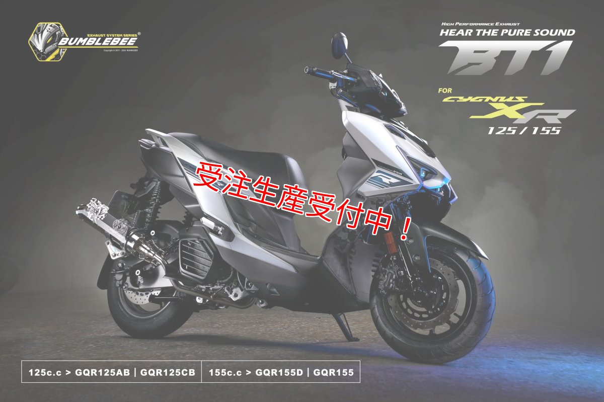 画像1: Bumblebee BT1ステンポリッシュ(125〜160cc/160cc以上/180cc以上/220cc以上) [7型シグナスX・シグナスグリファス・2型以降NMAX125・X FORCE] (1)