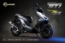 画像1: Bumblebee BT1ステンポリッシュ(125〜160cc/160cc以上/180cc以上/220cc以上) [7型シグナスX・シグナスグリファス・2型以降NMAX125・X FORCE] (1)
