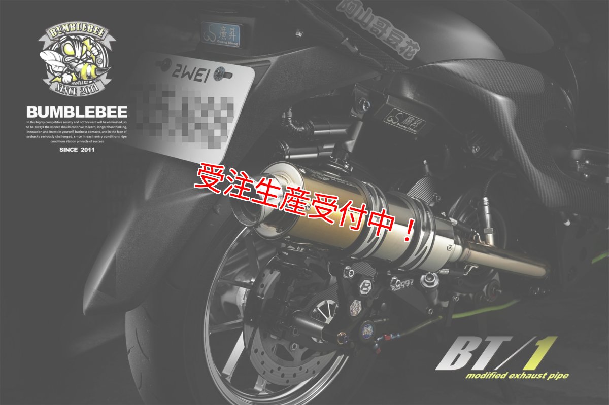 画像13: Bumblebee BT1チタン (125〜160cc/160cc以上/180cc以上/220cc以上) [1〜5型シグナスX・1.2型BW'S125] (13)