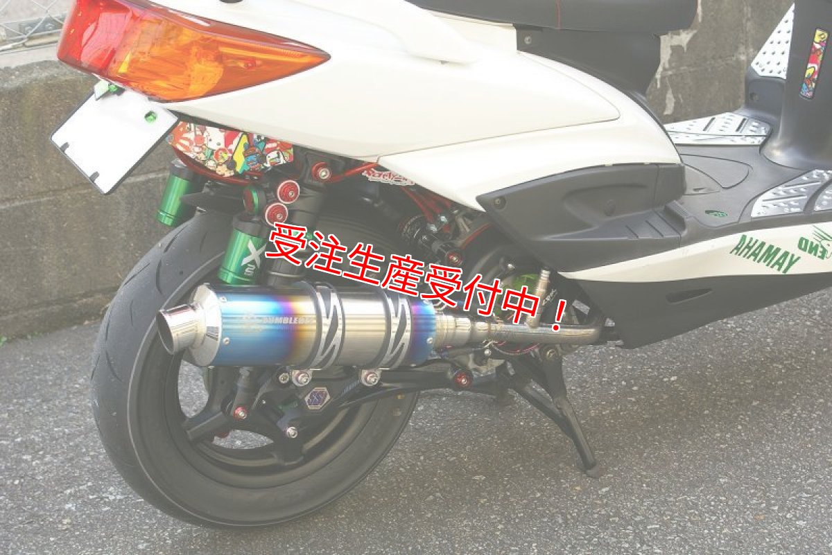 画像3: SHARK FACTORY 【X2-ST】リアサスペンション [シグナスX・BW'S125] (3)