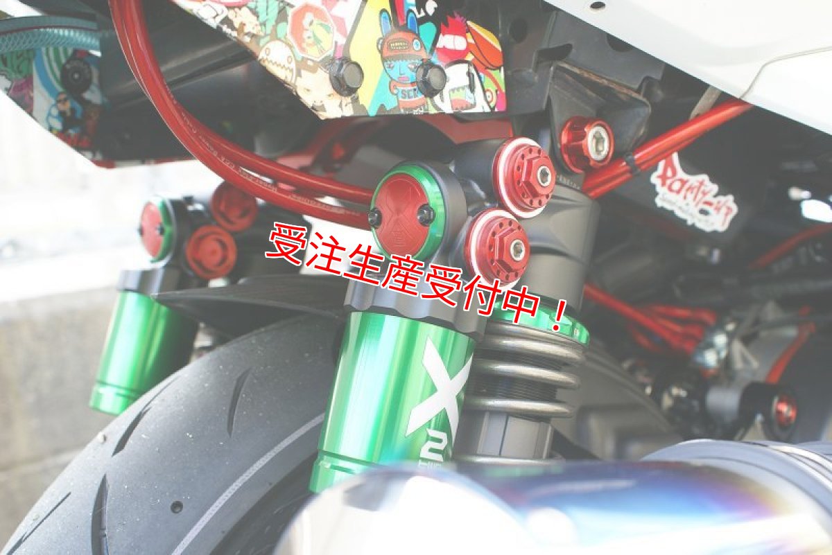 画像2: SHARK FACTORY 【X2-ST】リアサスペンション [シグナスX・BW'S125] (2)