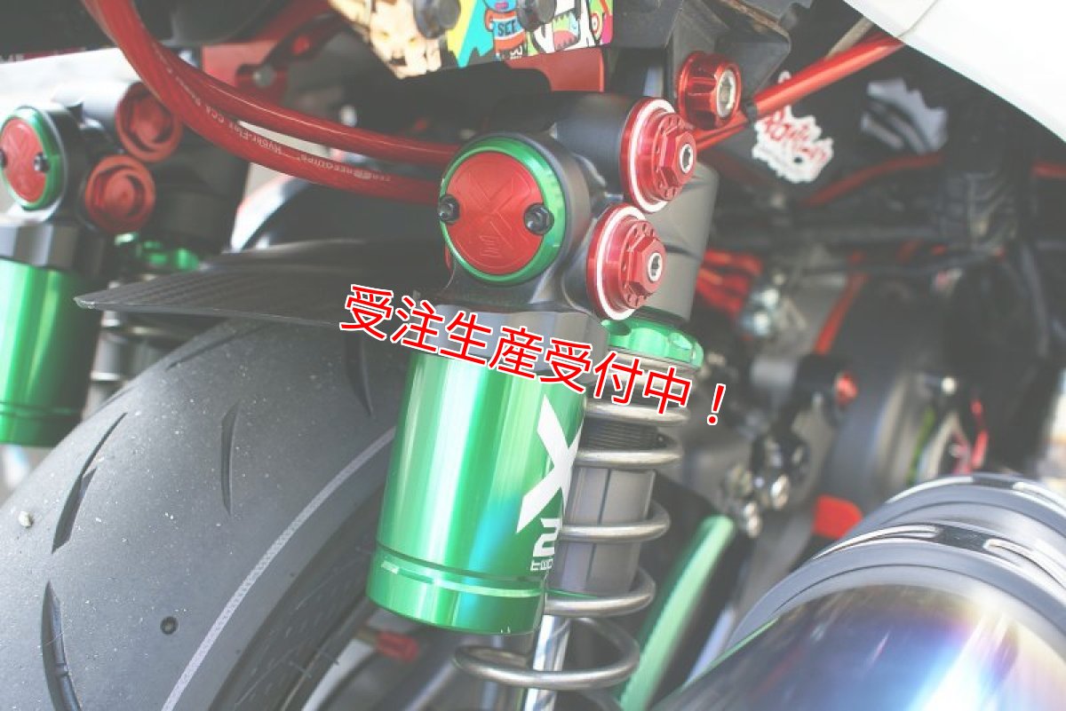 画像5: SHARK FACTORY 【X2-ST】リアサスペンション [シグナスX・BW'S125] (5)