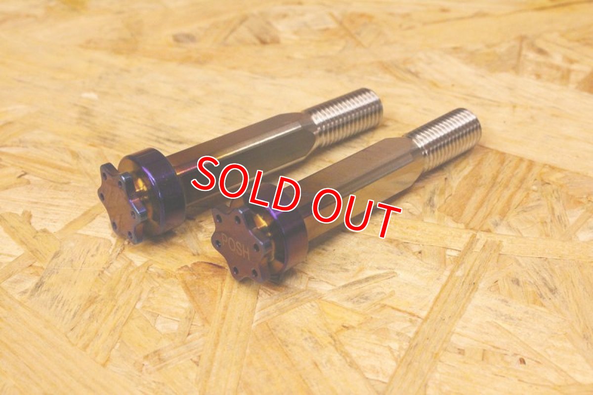 画像1: チタン エンジンハンガーマウントボルト 焼き色 2本セット PK7  (1)