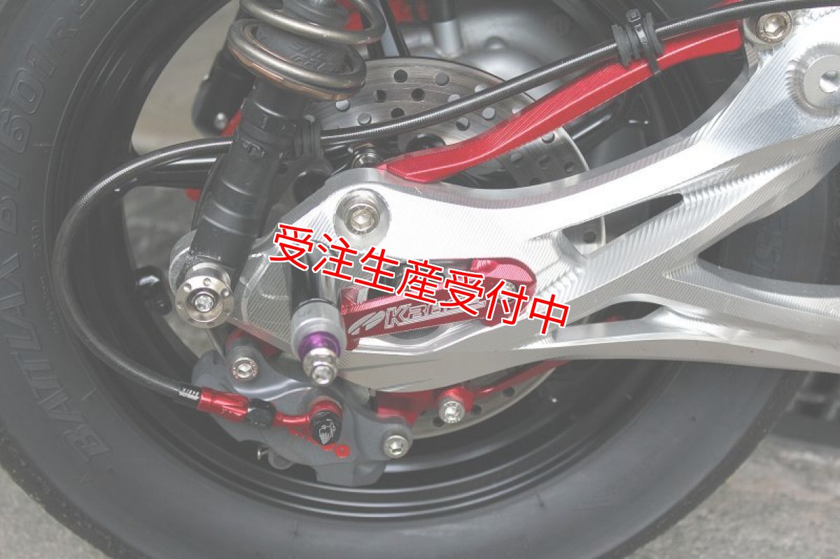 画像10: GARUDA カラーオーダー リアメッシュブレーキホース [シグナスX ・BW'S125] (10)