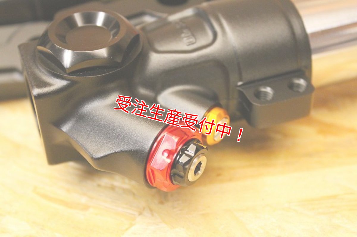 画像15: RPM【GII LS】倒立フロントフォーク [シグナスX・BW'S125] (15)