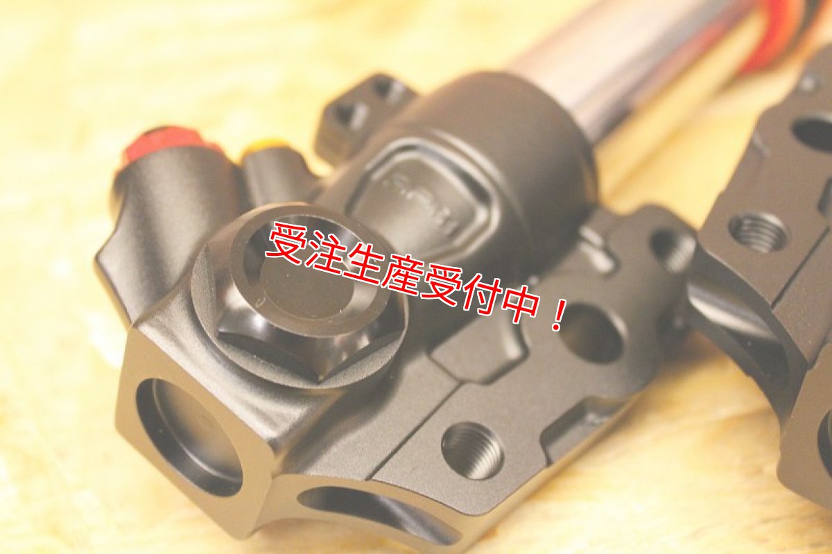 画像14: RPM【GII LS】倒立フロントフォーク [シグナスX・BW'S125] (14)