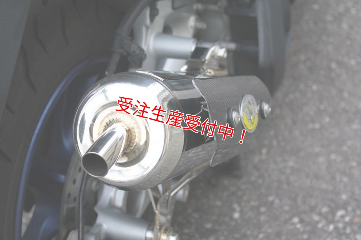 画像9: Bumblebee BS [シグナスX Bw's マジェスティS RSZ100 レーシング ティグラ CUXI100]  (9)