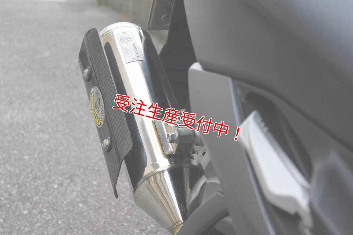 画像7: Bumblebee BS [シグナスX Bw's マジェスティS RSZ100 レーシング ティグラ CUXI100]  (7)